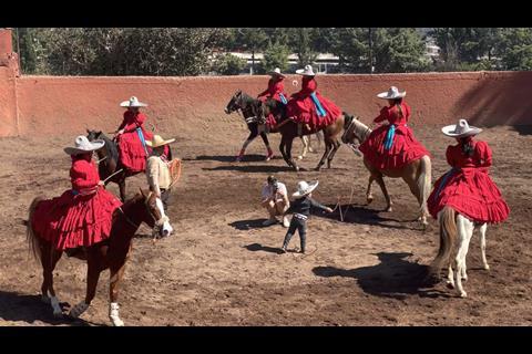COWBOY & HORSES